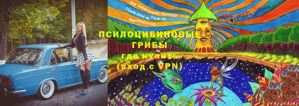 бутират Алексеевка