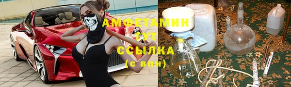 мяу мяу мука Алзамай