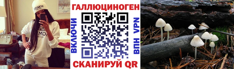 Галлюциногенные грибы Psilocybe  Миллерово 